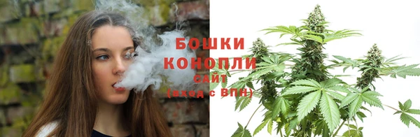 PSILOCYBIN Беломорск