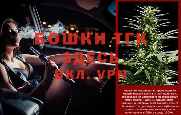 PSILOCYBIN Беломорск