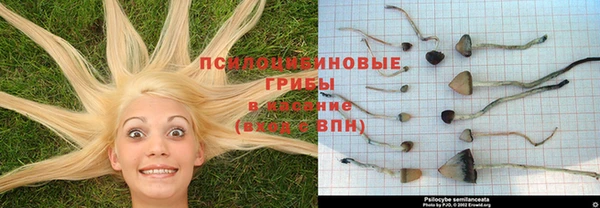 эйфоретик Белоозёрский